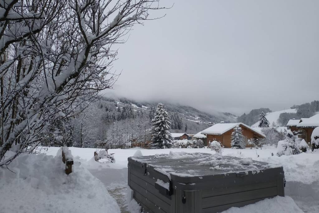 A4 Km De Megeve Tres Joli Studio Avec Jacuzzi ,Vue Sur Les Montagnes Au Calme Праз-сюр-Арли Екстериор снимка