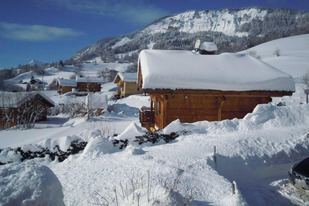 A4 Km De Megeve Tres Joli Studio Avec Jacuzzi ,Vue Sur Les Montagnes Au Calme Праз-сюр-Арли Екстериор снимка